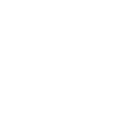涎巢燕窩 Yanchao​